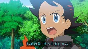 新アニポケ21話感想 波導の勇者サトシ いじっぱりリオルをゲット サトシと不思議なタマゴ ぽけりん ポケモンソードシールド 剣盾 まとめ アニメ ポケモン ポケモン サトシ