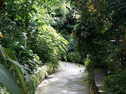 Make botanischer garten a part of your leipzig vacation plans using our leipzig road trip planner. Wiedereroffnung Der Gewachshauser Im Botanischen Garten Leipzig Leipziginfo De