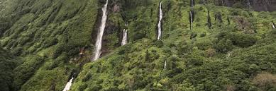 Besondere unterkünfte zum kleinen preis. 10 Best Santa Cruz Das Flores Hotels Portugal From 107