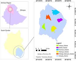 Image result for Discopodium penninervium