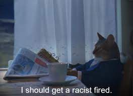 pix Cat Reading Newspaper Meme Blank