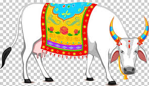 thai pongal makar sankranti wish lohri whatsapp png clipart background bhogi black white cattle cattle like