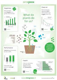 What Do Plants Do For Us Urban Planters Plants Benefits Of Indoor Plants Indoor Plants