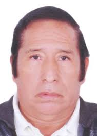 Ingresos de Otorongos Elecciones 2022