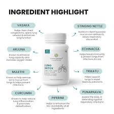 Image result for Pulmonary Intoxicant