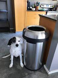 Rectangular is the most common shape, as it provides a large opening to limit spills and tucks easily into a corner. 27 Garbage Cans That People Actually Swear By