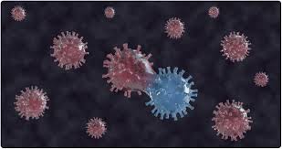 Over 8,000 people from 29 different countries and territories were infected, and at. Study Highlights Changes Within Sars Cov 2 Variants That Could Be Exploited To Design Effective Inhibitors