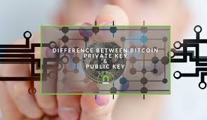 Privatekeys.pw is the most complete bitcoin, bitcoin segwit, bitcoin cash, bitcoin sv, ethereum, litecoin, dogecoin, dash, zcash, clam private keys explorer. Difference Between Bitcoin Private Key Public Key Nichemarket