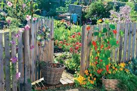 Willkommen Im Bauerngarten Garten Ideen Garten Und Bilder Wohnzimmer Bilder Malen Bilder Ideen L In 2020 Garden Visits Cottage Garden Plants Room With Plants