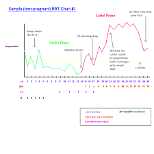 8 In Sample Bbt Chart 1 The Temperatures Are Slighly Jumpy