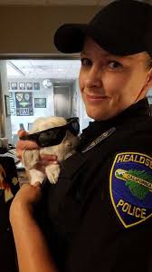 Rescue Rabbit Joins Police Force As Therapy Animal