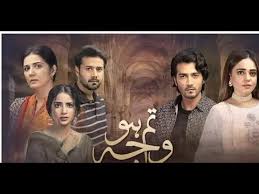 Drama Tum Ho Wajah Full Story New Episode Lessons Pakistani Society Heading To Failure Reasons Youtube In 2020 Pakistani Dramas Online Pakistani Dramas Drama