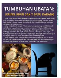 Salah satu cara tradisional merawat penyakit batu karang yang popular ialah dengan menggunakan kelapa muda (kelapa hijau). Tumbuhan Ubatan Jering Ubati Sakit Batu Karang Wannura
