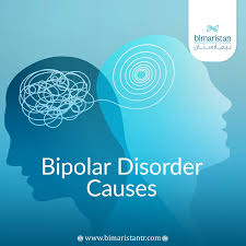 Image result for Bipolar Disorder