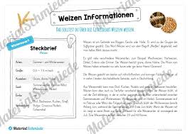 Grundschule tierspuren rätsel arbeitsblatt : Grundschule Sachkunde 3 Klasse Getreide Arbeitsblatter Kostenlos