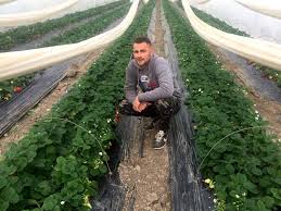 Producteur Martin Quartieri Fruits Et Legumes De Saison Maraicher Legumes De Saison