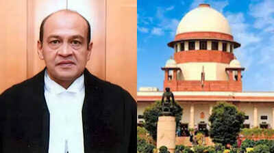 Justice Varma Case Plea Demanding FIR Registration and Investigation Dismissed, SC Remarks Petition Filed for Cheap Publicity | Times Now Navbharat