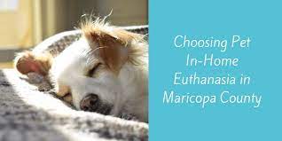 As our closest family members they deserve. At Home Euthanasia San Antonio