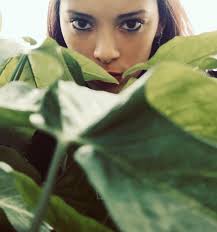 ⊰᯽⊱┈──╌❊╌──┈⊰᯽⊱ 𝑁𝑜 𝑚𝑒 𝑑𝑒𝑗𝑒𝑛 𝑠𝑜𝑙𝑎 𝑐𝑜𝑛 𝑚𝑖𝑠  𝑝𝑒𝑛𝑠𝑎𝑚𝑖𝑒𝑛𝑡𝑜𝑠... 𝐴 𝑒𝑙𝑙𝑜𝑠 𝑛𝑜 𝑙𝑒𝑠 𝑔𝑢𝑠𝑡𝑎 𝑣𝑒𝑟𝑚𝑒  𝑓𝑒𝑙𝑖𝑧. ⊰᯽⊱┈──╌❊╌──┈⊰᯽⊱  #parquealmendares#bote#remos#rio#naturaleza#model#cuba ...