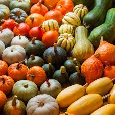 Pin On Food