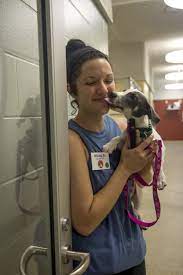 Most pets arrive at shelters because the owner had to move, could no longer afford the pet, had a death in the family, or simply gave up the responsibly of being a care taker for a sheep. Shelter Helpers Animal Refuge League Of Greater Portland Maine Animal Shelter