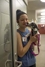 Houston humane society has volunteer opportunities available to help make a change in a cat or dog's life. Shelter Helpers Animal Refuge League Of Greater Portland Maine Animal Shelter