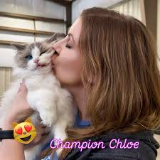 Belle Ami Bengals (@belleamibengals) • Instagram photos and videos