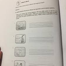 National heart, lung, and blood institute: To Identify Lifestyles That Has An Effectto The Respiratory And Circulatory Systems Study Each Brainly Ph