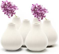 These are chinese chive flowers, which are white, rather than purple. Amazon Com Chive Frost Small Ceramic Vase Decorative Vases For Flowers House Plants Cute Beautiful Home Decor Set Of 6 White Kitchen Dining