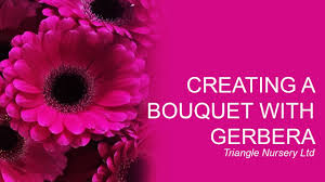 Gerbera daisy wedding bouquets are ideal pictures to study before deciding on your bridal bouquet. Triangle Nursery Creating A Bouquet With Gerbera Youtube