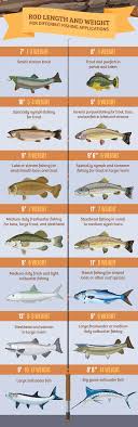 I'd like to touch on this a bit to help relieve some of. Fly Fishing With The Right Rod And Reel Partselect Com