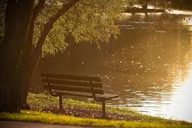12 Simple Ways To Reconnect And Find Peace In Nature Brennan C Mallonee Lmhc 49,000+ vectors, stock photos & psd files. reconnect and find peace in nature