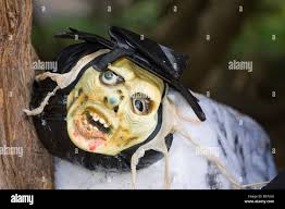 Thorp hi-res stock photography and images