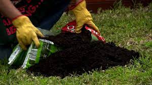 How To Top Dress Aerate Your Lawn D I Y At Bunnings Youtube