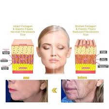 Amazon.com: Bee Venom Firming Serum Stick, Anti-Aging Face Serum, Reduces  Wrinkles & Fine Lines, Hydrates & Nourishes Skin, for Women & Men : Beauty  & Personal Care