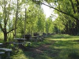 Giuliana can arrange many things for you in advance or once you arrive. Villa San Carlos Mendoza Mapio Net