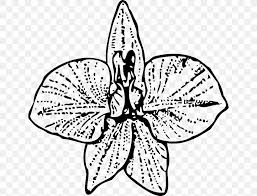 Larkspur Flower Clip Art Png 640x625px Larkspur Artwork Birth Flower Black And White Butterfly Download Free Choose from 630000+ larkspur clip art images and download in the form of png, eps, ai or psd. larkspur flower clip art png