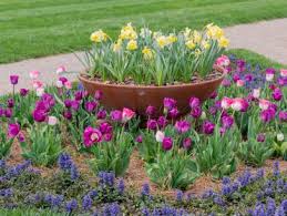 If you did so last season, spring is the time to check on the progress. Spring Cleaning For Your Garden Hgtv