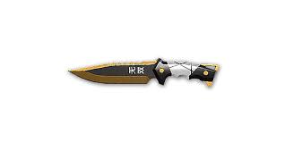 Valorant agents (up to astra) valorant agents w/ kay/o (june 2021) valorant knife / melee (march 2021) valorant vandal skins. Valorant Ego Knife Skin
