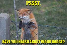Fox Wanna Buy Animal Memes Cute Funny Animals Funny Memes