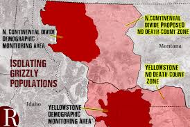That's what they're calling it, rulon said. Yellowstone Grizzlies Face Unbearable Divides The Revelator
