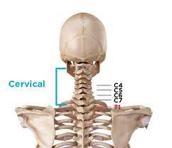 Slipped disc upper back treatment. Do I Have A Herniated Disc Symptoms Causes Back Treatments