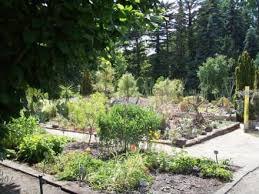 Weitere ideen zu garten, gartengestaltung, garten ideen. Aussenanlage Botanischer Garten Potsdam Bild Botanischer Garten Potsdam In Potsdam