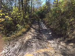 Rockhouse Trail System Hatfield And Mccoy Trails Man 2021 All You Need To Know Before You Go Tours Tickets With Photos Tripadvisor