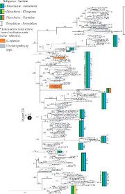 Image result for Eleocharis confervoides