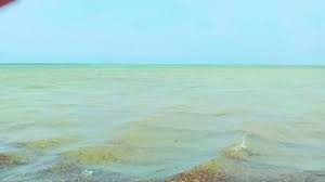 Image result for Tidal Wave 2004 Tiburon