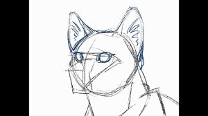 How To Draw A Cat Tutorial Youtube The premolar and first molar together compose the carnassial pair on each side of the mouth, which efficiently functions to shear meat like a pair of scissors. how to draw a cat tutorial
