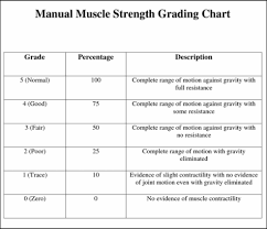 Movements Manual Muscle Testing Goniometry Shoulder Complex