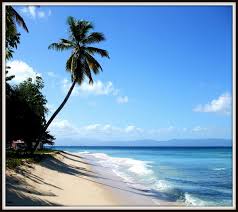 Port Louis Guadeloupe Plage Du Souffleur Playa