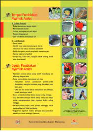 Perlu diketahui bahawa demam denggi kali kedua selalunya menyebabkan keadaan yang lebih teruk berbanding demam denggi yang pertama. Rawatan Demam Denggi Sars Outlet
